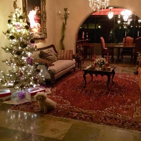 Meet your Posher, Faye - Picture 1 of 1